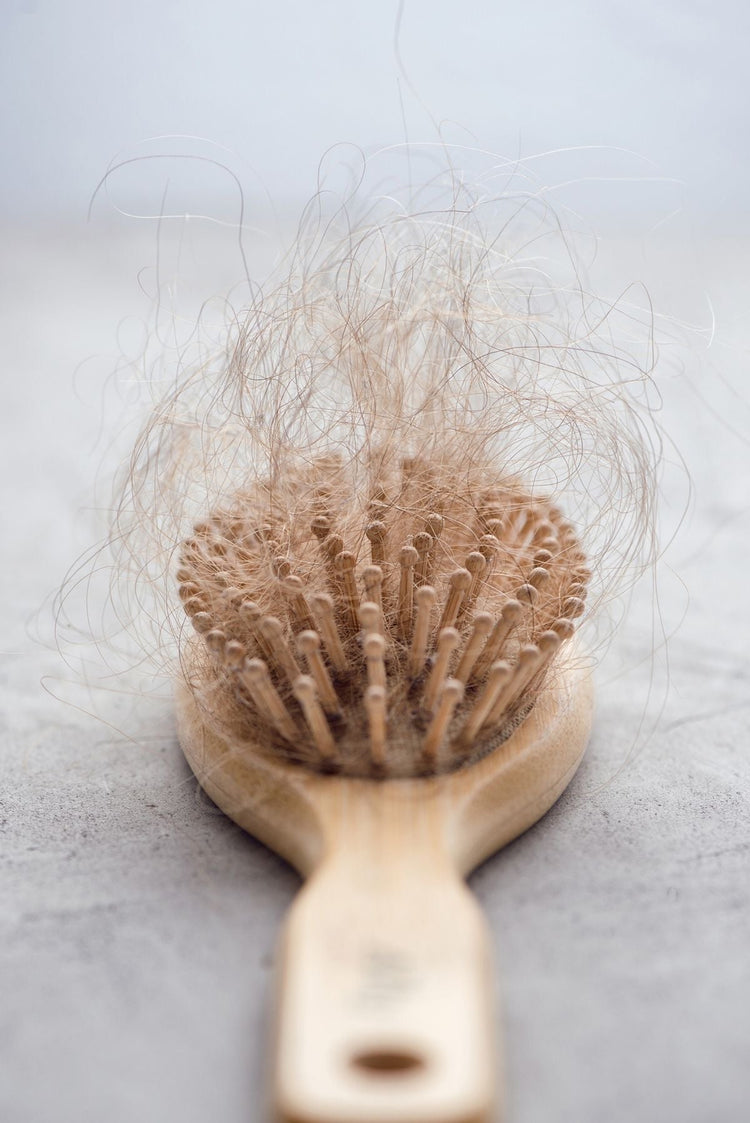 Capilar - Skin Prime Lab