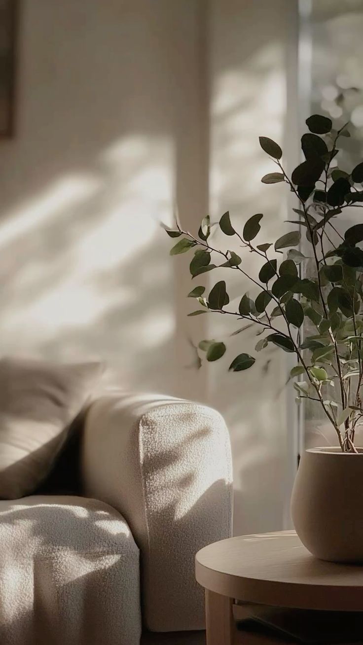 Home Care - Skin Prime Lab